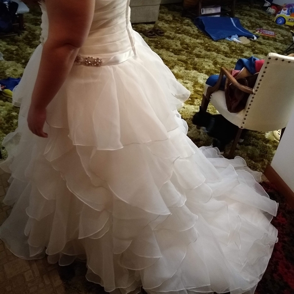 Wedding Dress - Picture 9 of 12